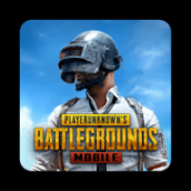 pubg國(guó)際服1.9.0